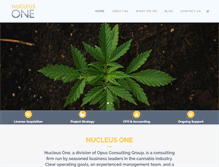 Tablet Screenshot of nucleus-one.com